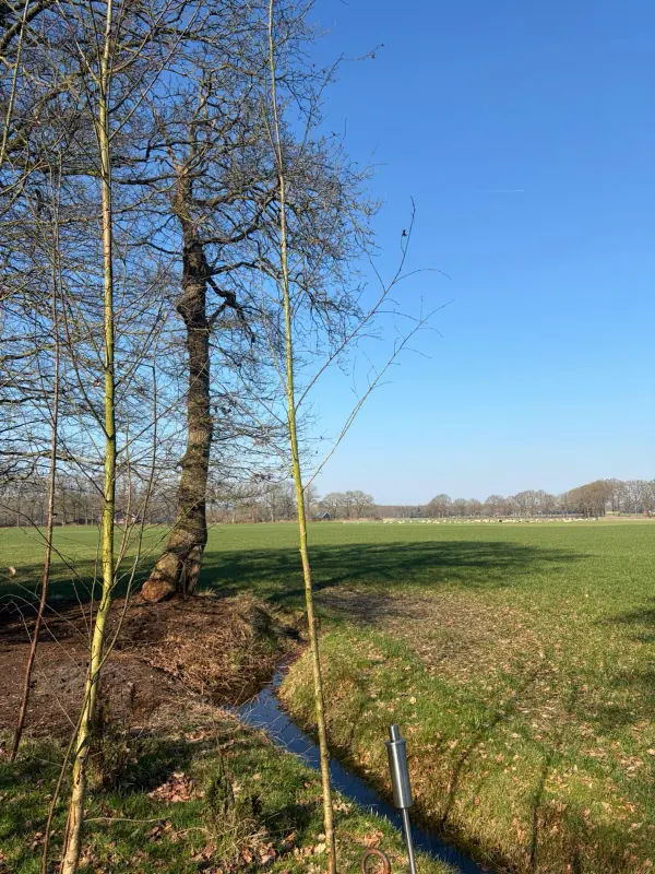 Beekje door het groene landschap